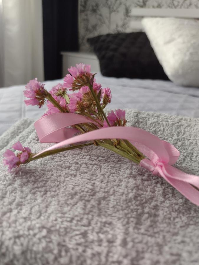 Apartament Nad Jeziorakiem อิวาวา ภายนอก รูปภาพ
