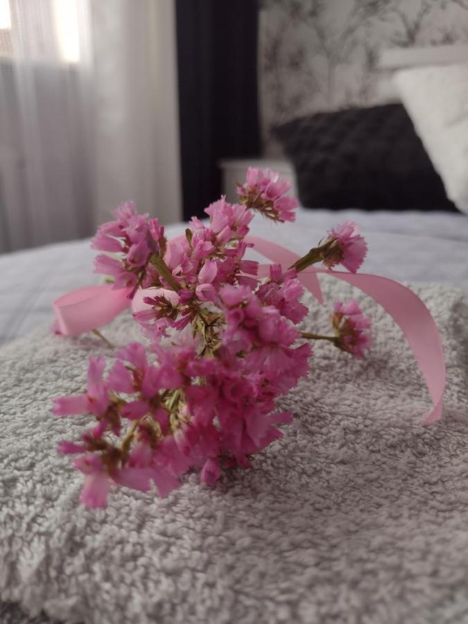 Apartament Nad Jeziorakiem อิวาวา ภายนอก รูปภาพ